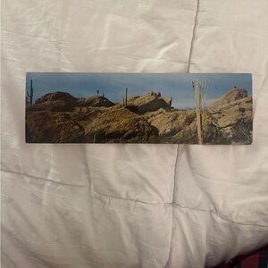 Vintage Postcard Arizona Saguaro National Monument